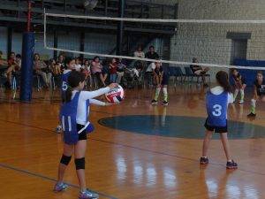 Dsc03326